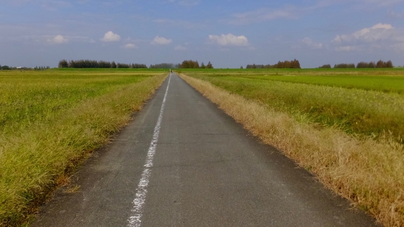 f:id:tomlin:20181017214811j:plain