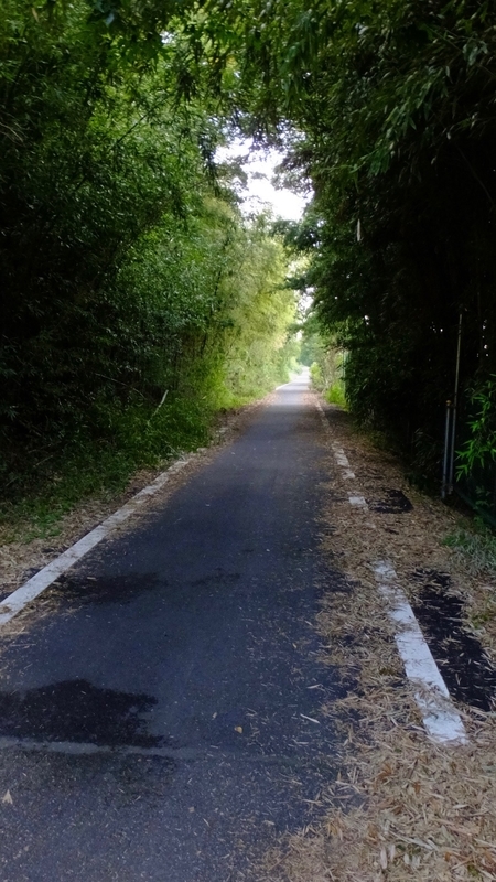 f:id:tomlin:20181017214814j:plain