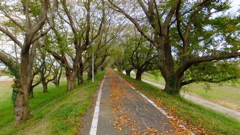 f:id:tomlin:20181017215000j:plain