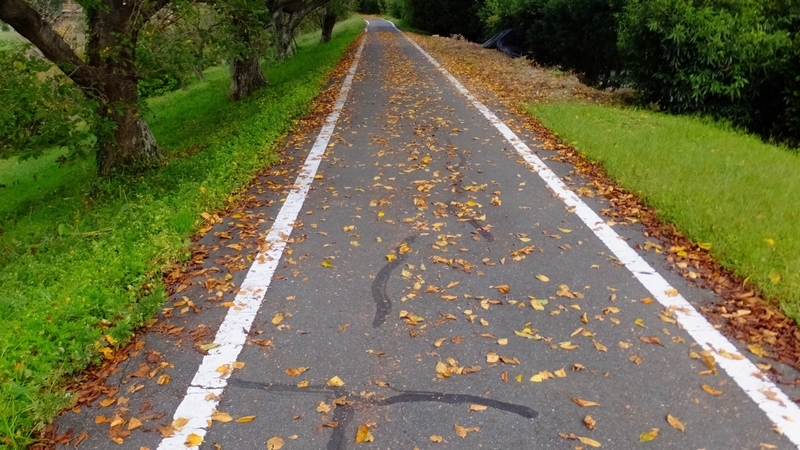 f:id:tomlin:20181017215004j:plain