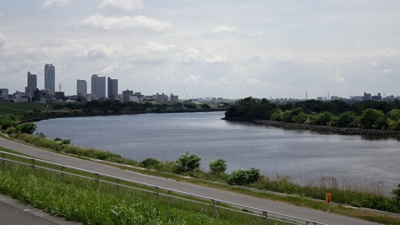 f:id:tomlin:20190515215537j:plain f:id:tomlin:20190515215537j:plain