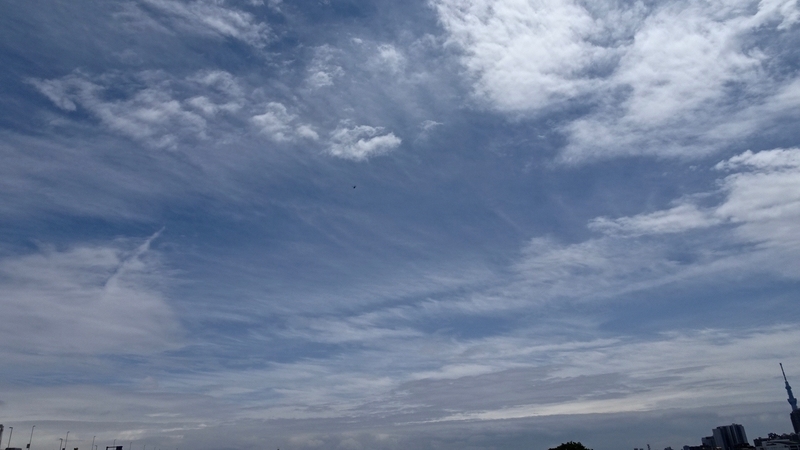 f:id:tomlin:20190515215546j:plain f:id:tomlin:20190515215546j:plain