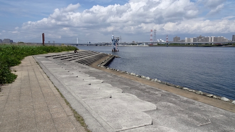 f:id:tomlin:20190515215902j:plain f:id:tomlin:20190515215902j:plain