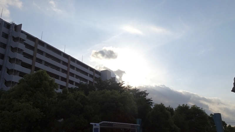 f:id:tomlin:20190515221008j:plain f:id:tomlin:20190515221008j:plain
