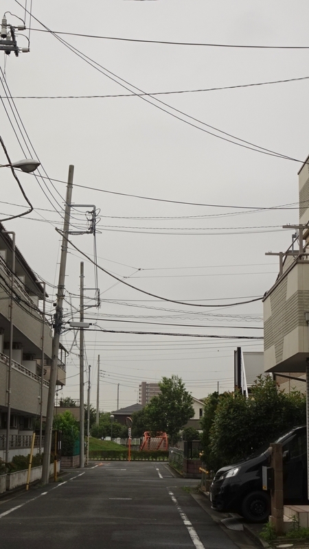 f:id:tomlin:20190702224056j:plain f:id:tomlin:20190702224056j:plain