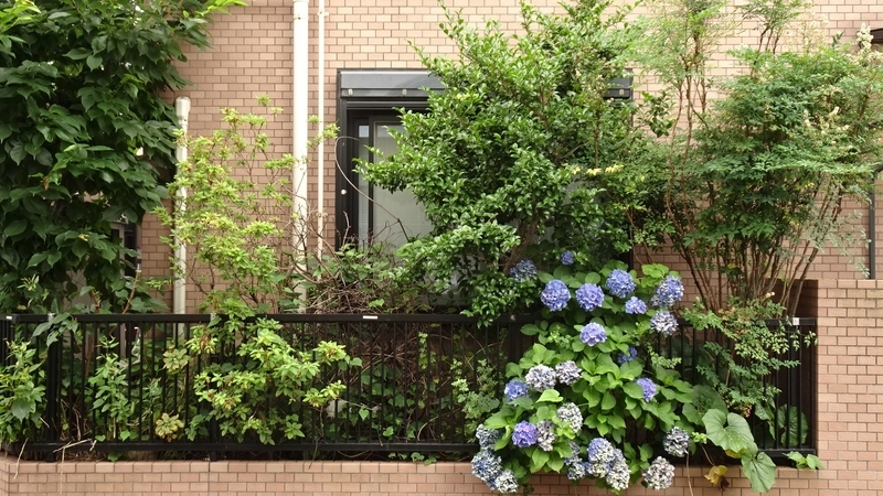 f:id:tomlin:20190702224102j:plain f:id:tomlin:20190702224102j:plain