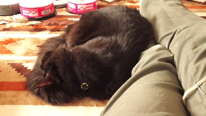 f:id:tomlin:20200203214211j:plain