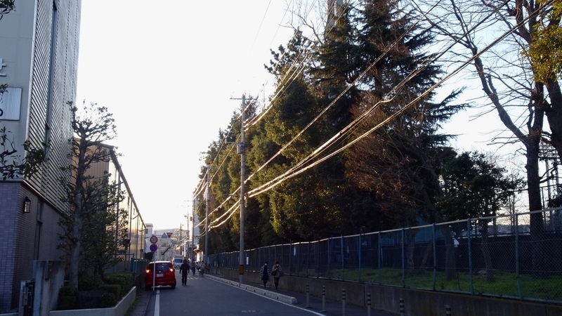 f:id:tomlin:20200305171846j:plain