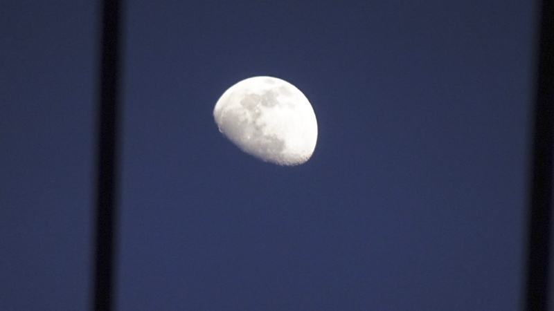 f:id:tomlin:20200305174759j:plain