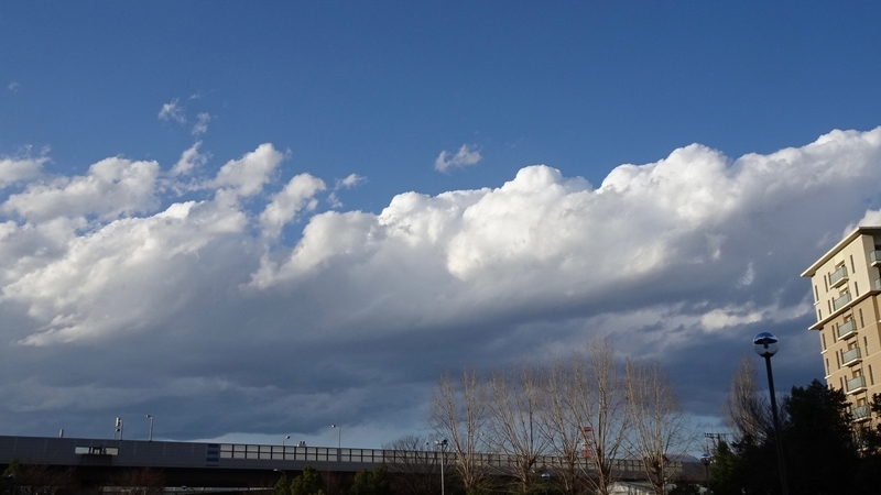 f:id:tomlin:20200311164358j:plain