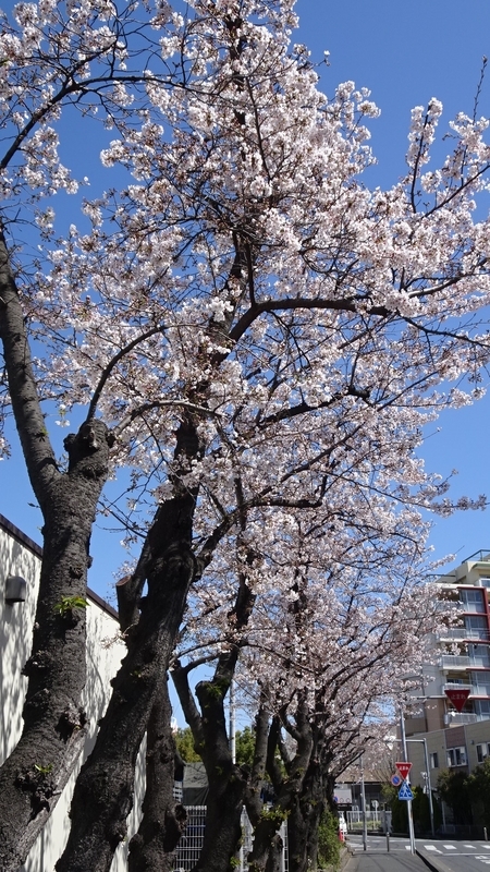 f:id:tomlin:20200325215231j:plain