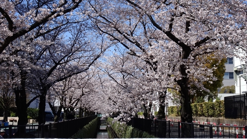 f:id:tomlin:20200325215314j:plain