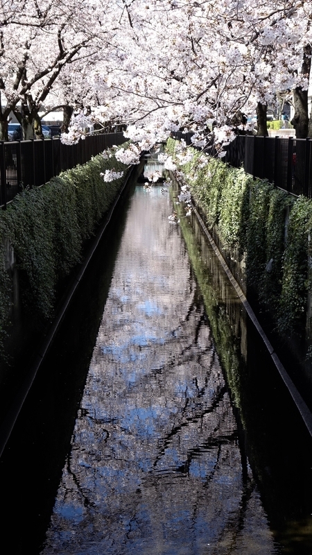 f:id:tomlin:20200325215320j:plain