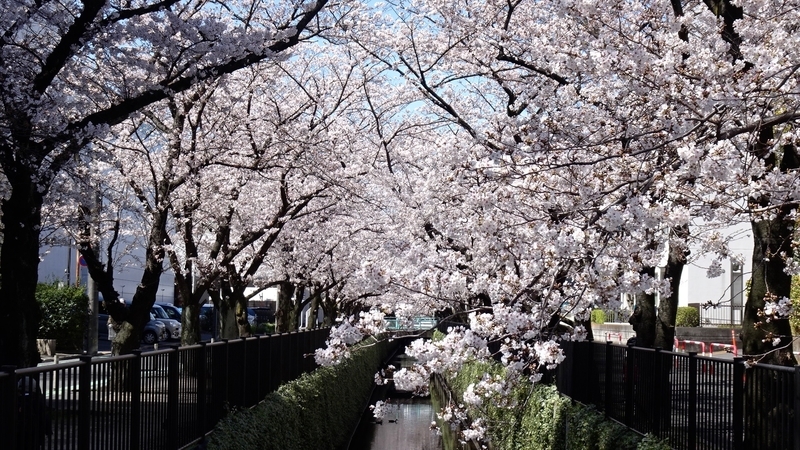 f:id:tomlin:20200325215325j:plain