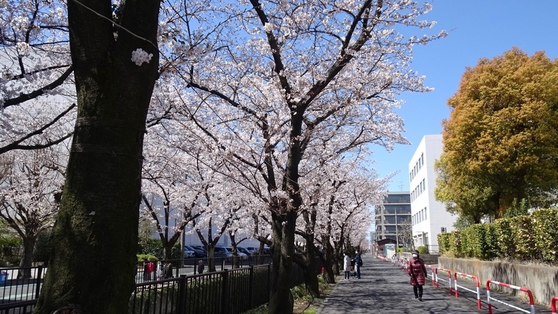 f:id:tomlin:20200325215331j:plain