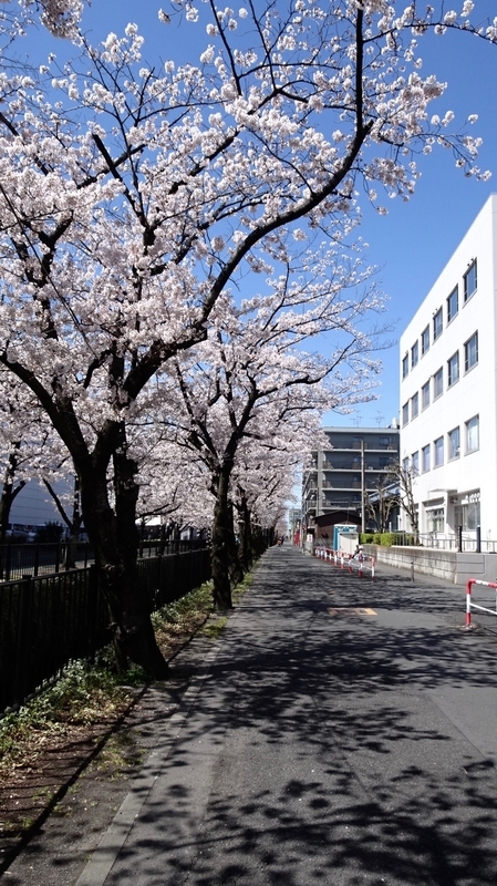 f:id:tomlin:20200325215337j:plain