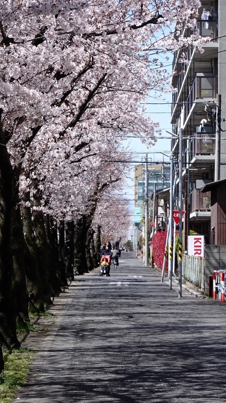 f:id:tomlin:20200325215343j:plain