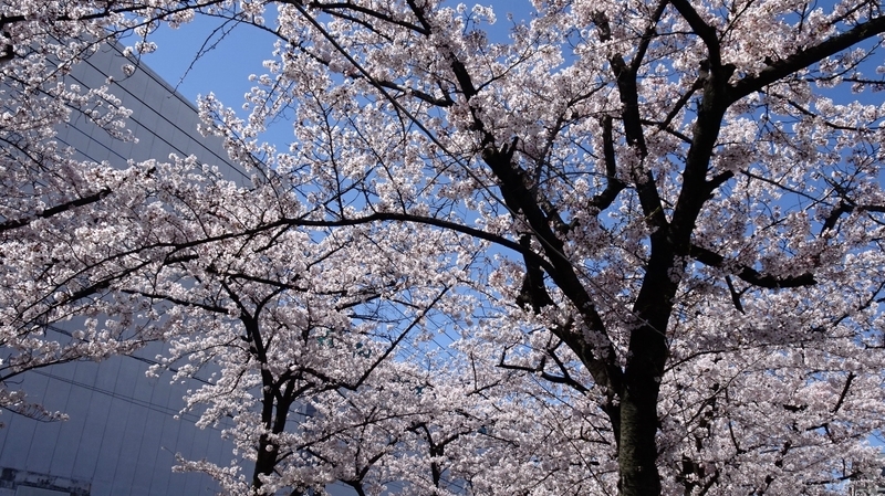 f:id:tomlin:20200325215352j:plain