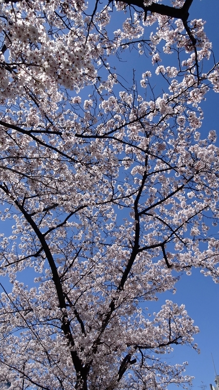 f:id:tomlin:20200325215400j:plain