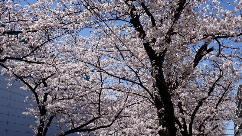 f:id:tomlin:20200325215406j:plain