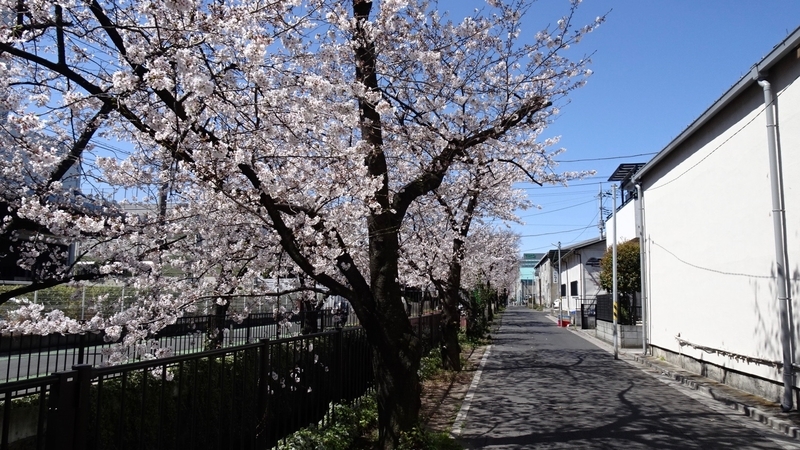 f:id:tomlin:20200325215413j:plain