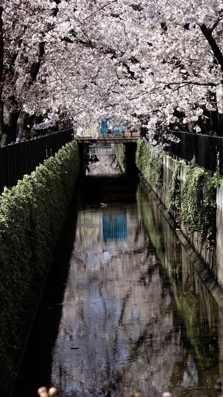 f:id:tomlin:20200325215420j:plain