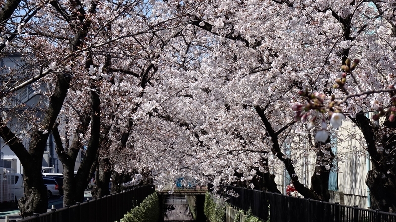 f:id:tomlin:20200325215427j:plain