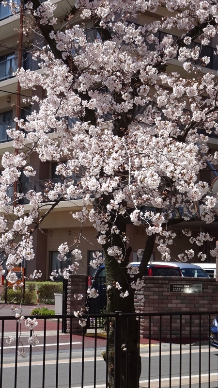 f:id:tomlin:20200325215433j:plain