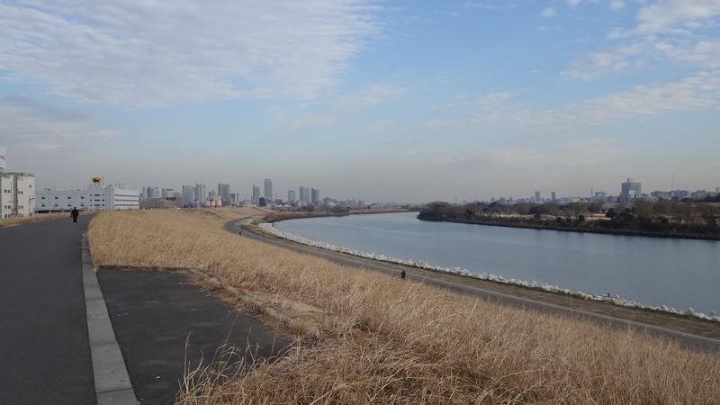 f:id:tomlin:20210122233630j:plain