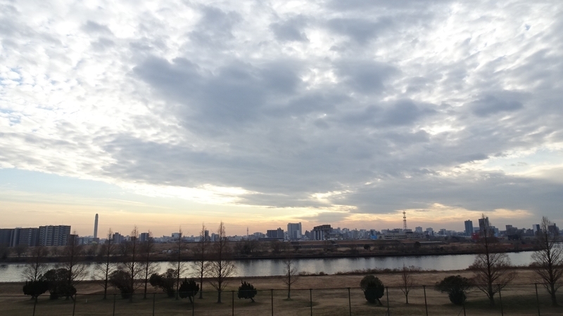 f:id:tomlin:20210122233644j:plain