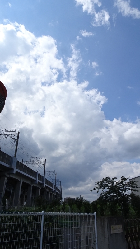 f:id:tomlin:20210617223058j:plain