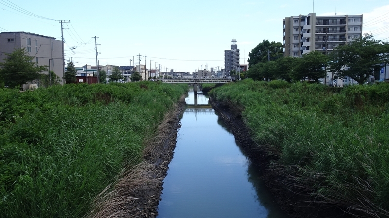 f:id:tomlin:20210617223103j:plain