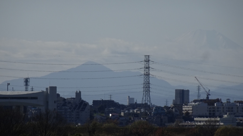 f:id:tomlin:20211205214833j:plain