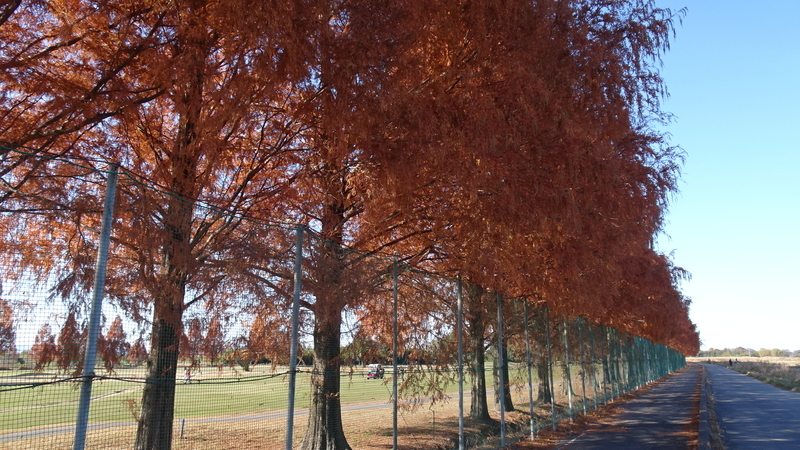 f:id:tomlin:20211205214913j:plain