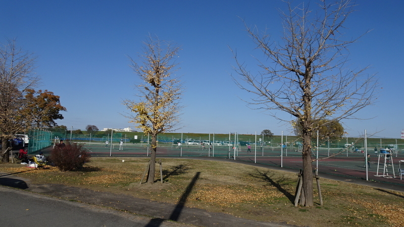 f:id:tomlin:20211205214917j:plain