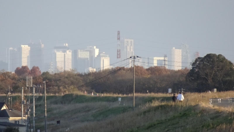 f:id:tomlin:20211205214943j:plain