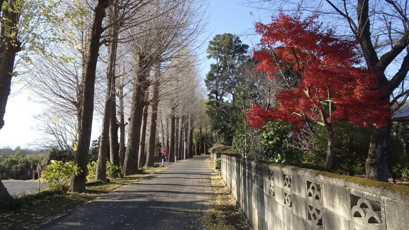 f:id:tomlin:20211205214952j:plain