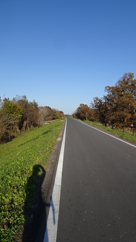 f:id:tomlin:20211205215007j:plain