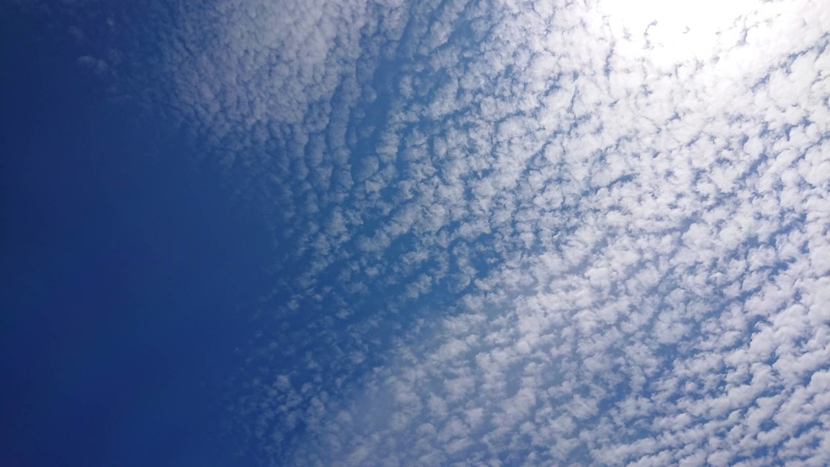 f:id:tomlogkun:20190413154826j:plain