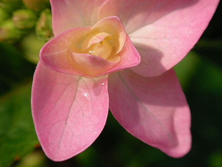 f:id:tomm_u:20070525100758j:image f:id:tomm_u:20070525100758j:image