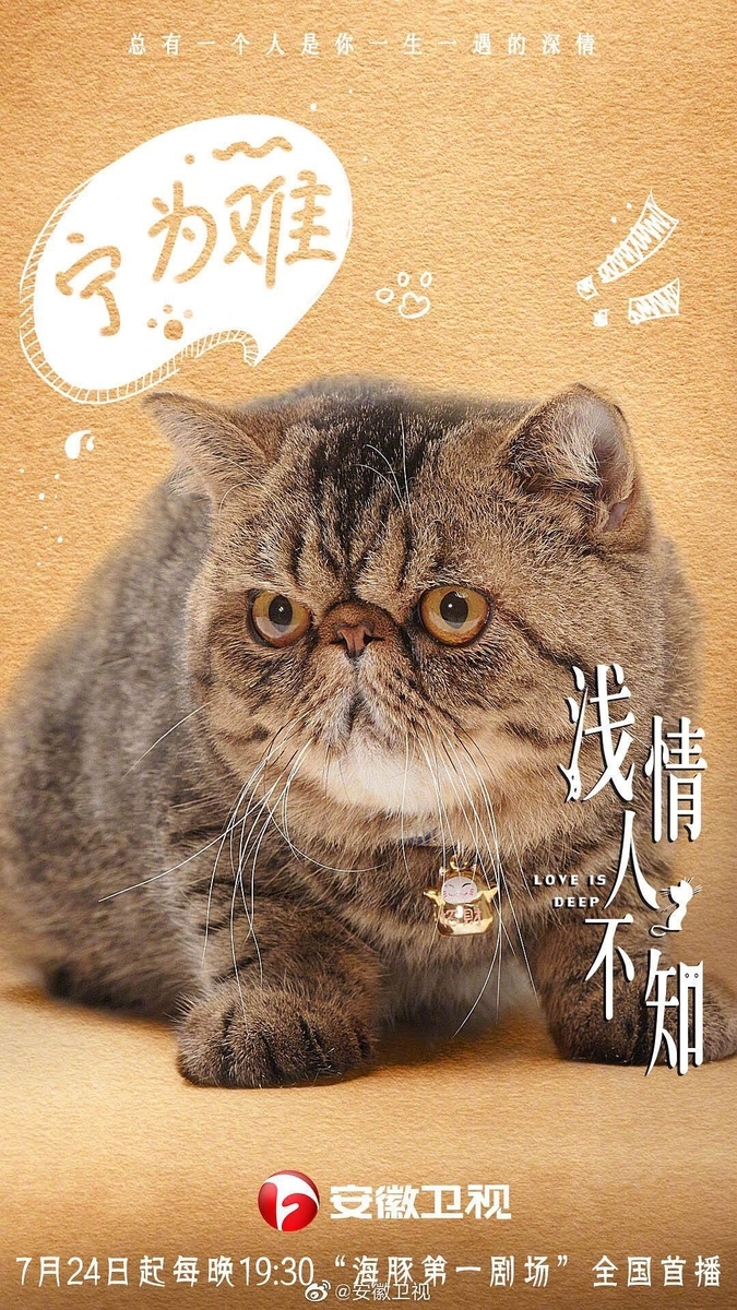 f:id:tommhe:20190909172250j:plain f:id:tommhe:20190909172250j:plain
