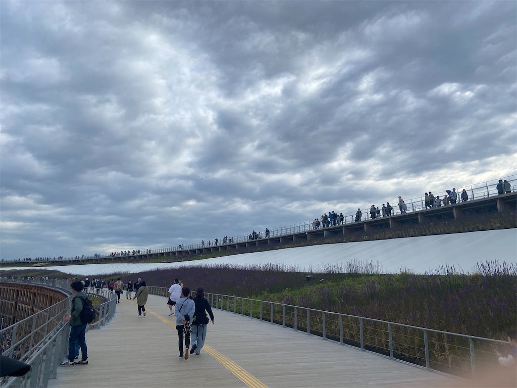 f:id:tommy-tomcom:20250524203619j:image