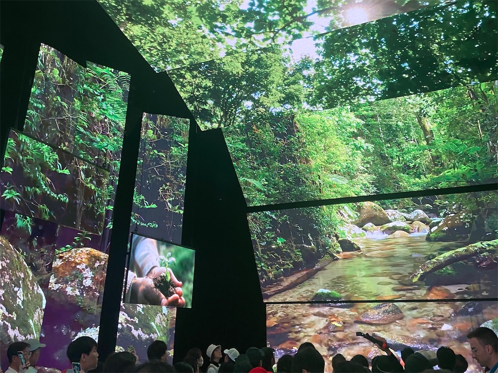 f:id:tommy-tomcom:20250524212506j:image