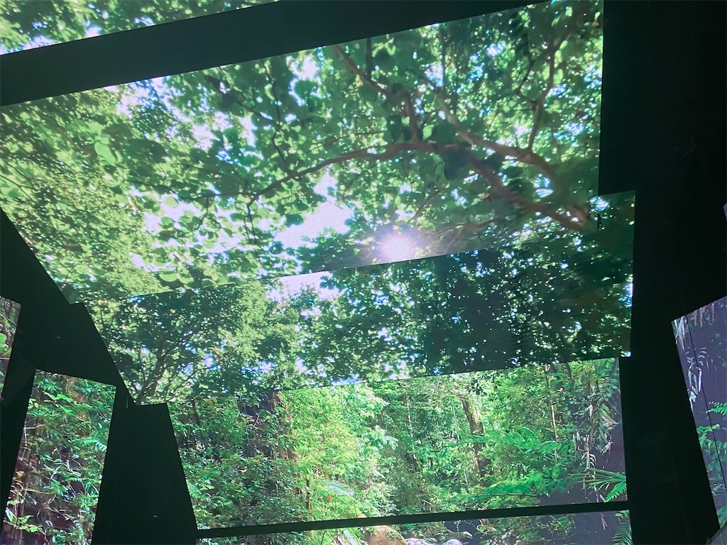 f:id:tommy-tomcom:20250524212509j:image