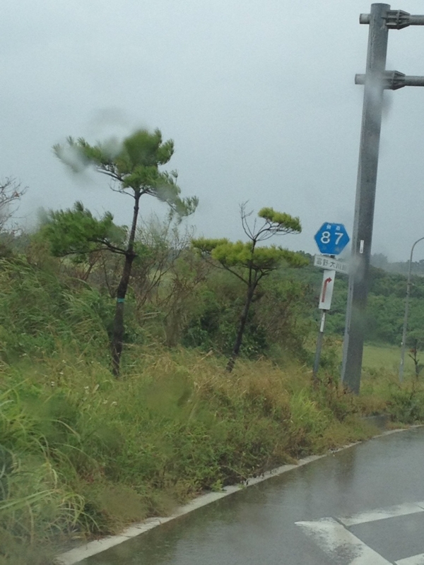 沖縄県道87号富野大川線