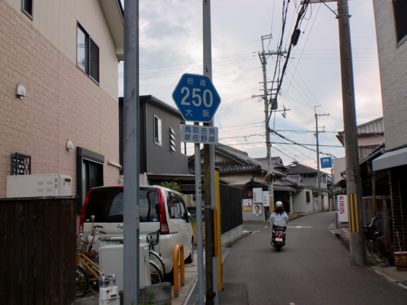 大阪府道250号鳥取吉見泉佐野線