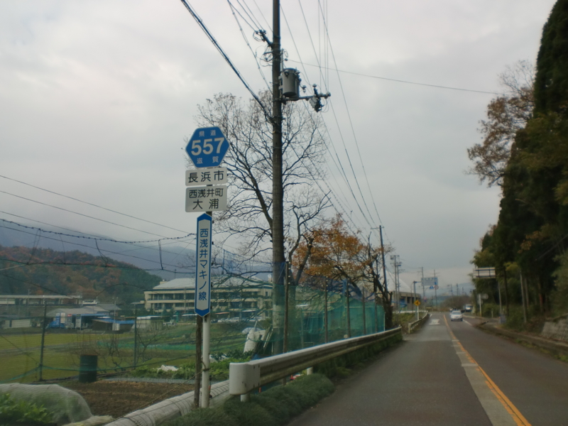 滋賀県道557号西浅井マキノ線