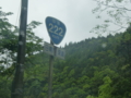 国道222号線