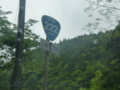 国道222号線