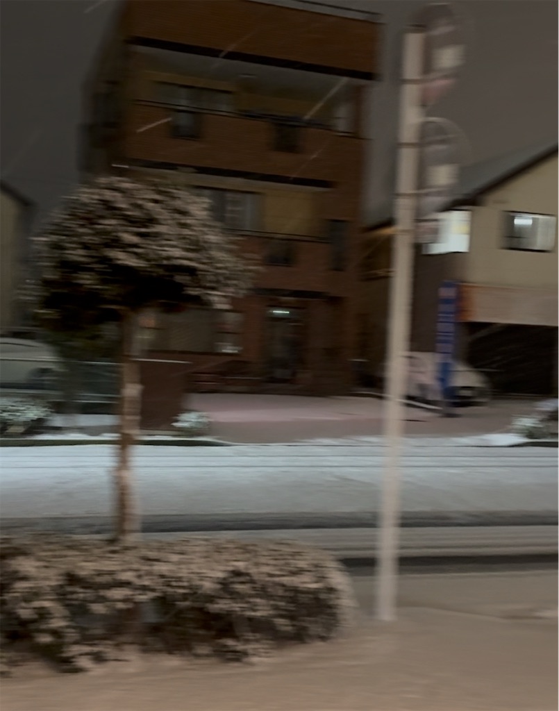 f:id:tommyaccelerator:20250209212410j:image f:id:tommyaccelerator:20250209212410j:image